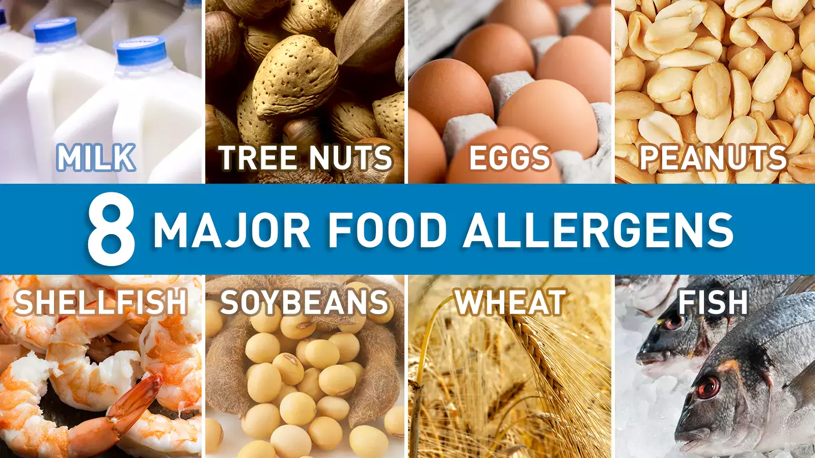Top food allergens